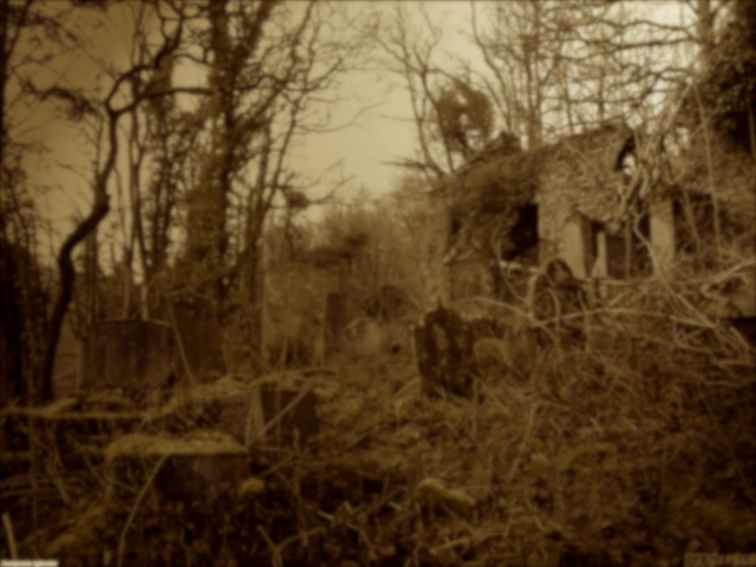 A tree in a forest

Description automatically generated